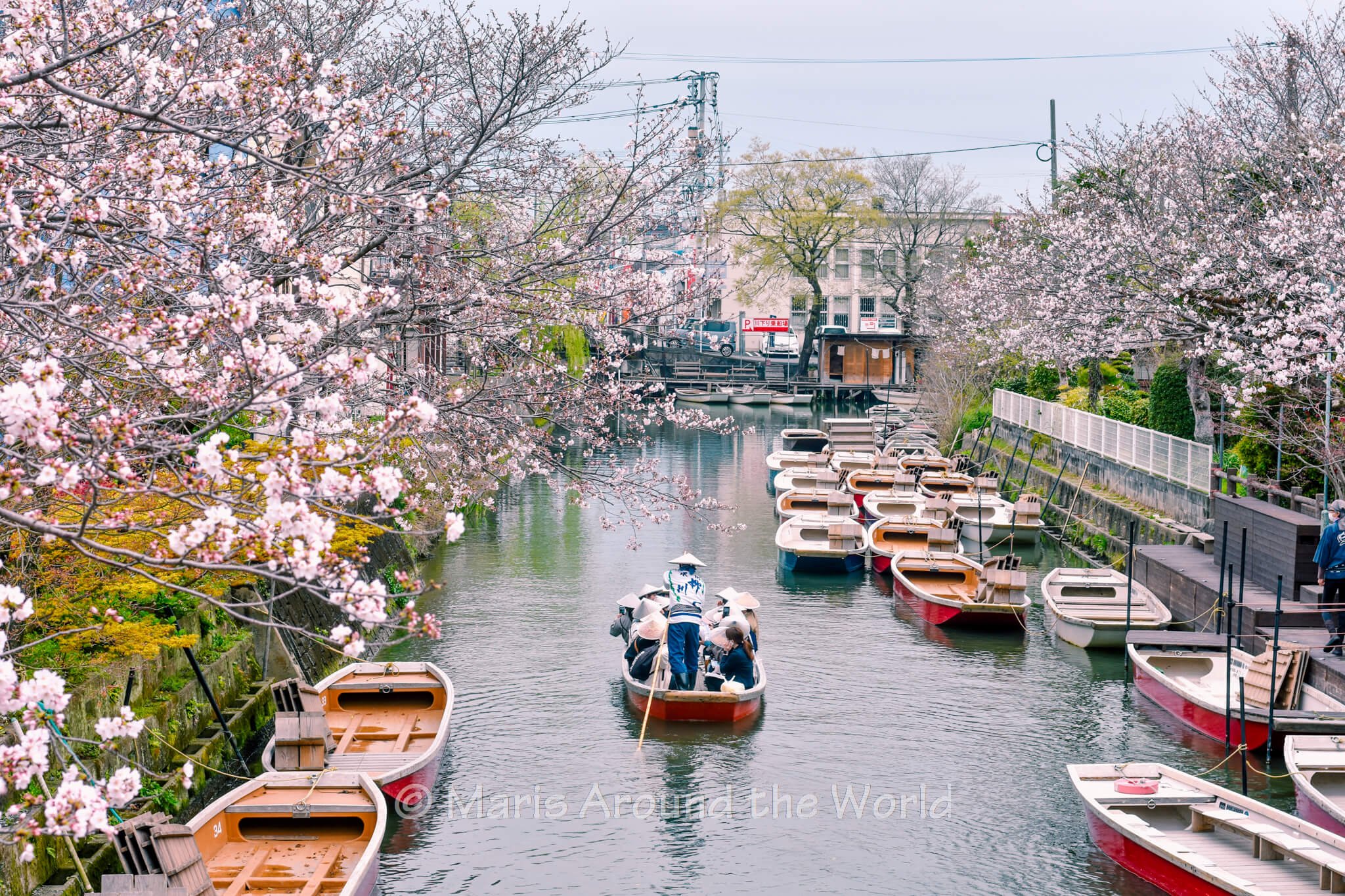 🏰 야나가와 성 해자 수문(야나가와조 호리 스이몬) 이미지 5